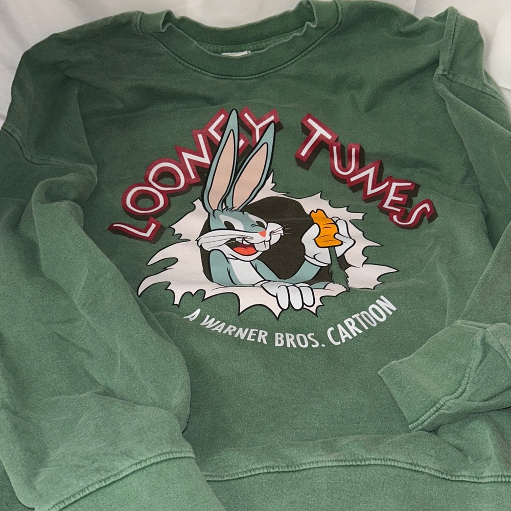 Looney Tunes Green Sweatshirt